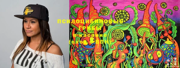 тгк Магадан
