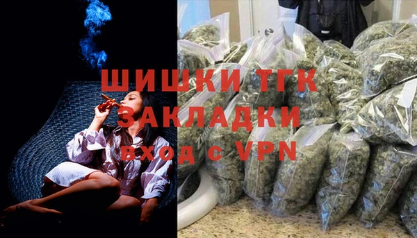 молекула духа Долгопрудный
