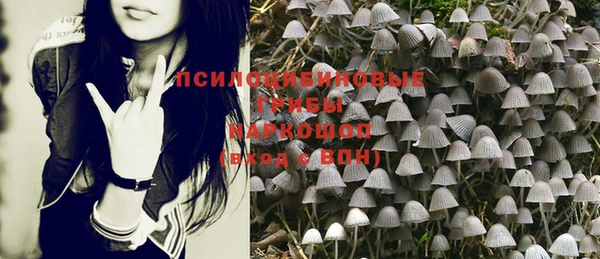 метадон Магас